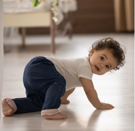 Pisos LVT colados: a escolha de alta estabilidade para pisos